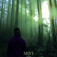 Thumbnail for the Sizzle Bird - Mist link, provided by host site