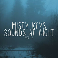 Thumbnail for the Peaceful Music - Misty Keys Sounds at Night Vol. 2 link, provided by host site