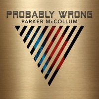 Thumbnail for the Parker McCollum - Misunderstood link, provided by host site