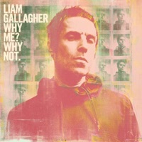 Thumbnail for the Liam Gallagher - Misunderstood link, provided by host site