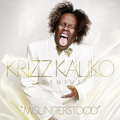 Thumbnail for the Krizz Kaliko - Misunderstood link, provided by host site