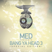 Thumbnail for the Med - Misunderstood link, provided by host site