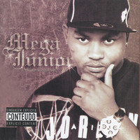 Image of Dj Junior linking to their artist page due to link from them being at the top of the main table on this page