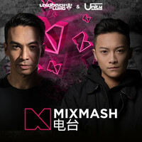 Thumbnail for the Laidback Luke - Mixmash 电台 247 link, provided by host site