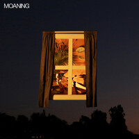 Thumbnail for the Moaning - Moaning link, provided by host site