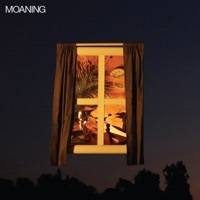 Thumbnail for the Moaning - Moaning link, provided by host site