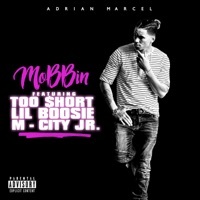 Thumbnail for the Adrian Marcel - Mobbin link, provided by host site