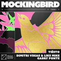 Thumbnail for the Tiësto - Mockingbird link, provided by host site