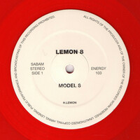 Thumbnail for the Lemon 8 - Model8 link, provided by host site