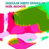 Thumbnail for the Noël Akchoté - Modular Meets Granular link, provided by host site