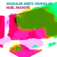 Thumbnail for the Noël Akchoté - Modular Meets Granular link, provided by host site