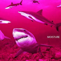 Thumbnail for the Lofty305 - Moisture link, provided by host site