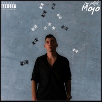 Thumbnail for the Sean Patrick - Mojo link, provided by host site