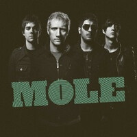 Thumbnail for the Mole - Mole link, provided by host site