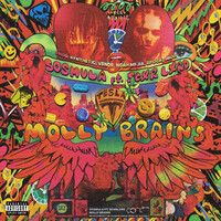 Thumbnail for the Sos Mula - MOLLY BRAINS link, provided by host site