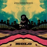 Thumbnail for the Africa Express - Molo link, provided by host site