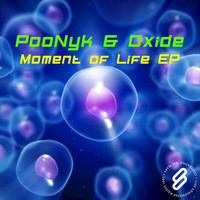 Thumbnail for the Poonyk - Moment Of Life link, provided by host site