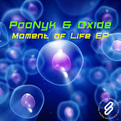Thumbnail for the Poonyk - Moment Of Life link, provided by host site
