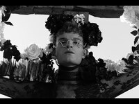 Thumbnail for the Jake Wesley Rogers - Momentary link, provided by host site