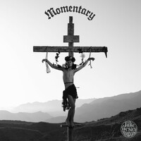 Thumbnail for the Jake Wesley Rogers - Momentary link, provided by host site