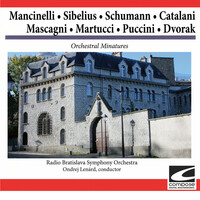 Thumbnail for the Giuseppe Martucci - Momento Musicale e Minuetto link, provided by host site