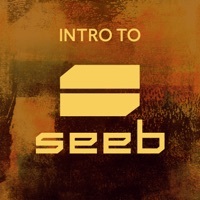 Thumbnail for the Seeb - Moments (Seeb Remix) link, provided by host site