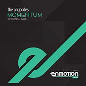 Thumbnail for the Orchestra of the Antipodes - Momentum link, provided by host site