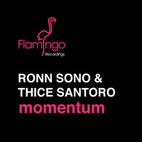 Thumbnail for the Ronn Sono - Momentum link, provided by host site