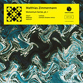 Thumbnail for the Matthias Zimmermann - Momentum Series, Pt. I link, provided by host site