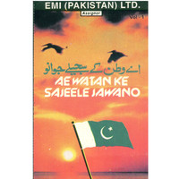 Thumbnail for the Tahira Syed - Momin Lardaye link, provided by host site