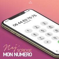 Thumbnail for the NEJ' - Mon numéro link, provided by host site