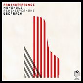 Thumbnail for the Pantha Du Prince - Mondholz link, provided by host site