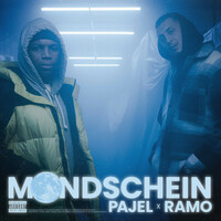 Thumbnail for the Pajel - Mondschein link, provided by host site