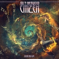 Thumbnail for the Billy Sherwood - Monet link, provided by host site