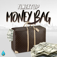 Thumbnail for the YLNextUp - Money Bags link, provided by host site