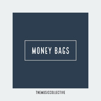 Thumbnail for the Trial & Error - Money Bags (Instrumental) link, provided by host site