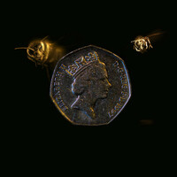 Thumbnail for the Meex - Money Honey link, provided by host site