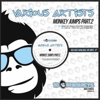 Thumbnail for the Adam Vyt - Monkey Jumps Part.2 link, provided by host site