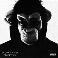 Thumbnail for the MikeZup - Monkey See Monkey Do link, provided by host site