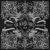 Thumbnail for the Megalodon - Monkey Wrench - Original Mix link, provided by host site