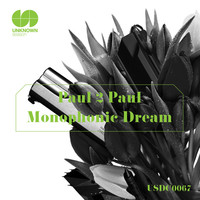 Thumbnail for the Paul2Paul - Monophonic Dream link, provided by host site