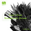 Thumbnail for the Paul2Paul - Monophonic Dream link, provided by host site