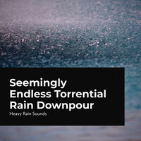 Thumbnail for the Rain Shower Spa - Monotonous Steady Storm link, provided by host site