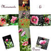 Thumbnail for the Deano - Monuments & Crosses link, provided by host site