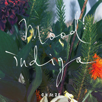 Thumbnail for the Cheeze - Mood Indigo link, provided by host site