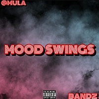 Thumbnail for the Mula - Mood Swings link, provided by host site