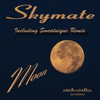 Thumbnail for the Skymate - Moon link, provided by host site