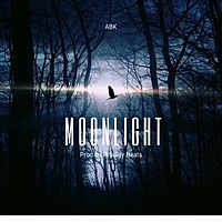 Thumbnail for the ABK - Moonlight link, provided by host site