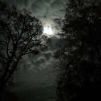 Thumbnail for the MH - Moonlight link, provided by host site