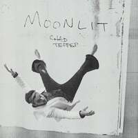 Thumbnail for the Chad Tepper - Moonlit link, provided by host site